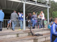 Relegation 2015-16.58.05